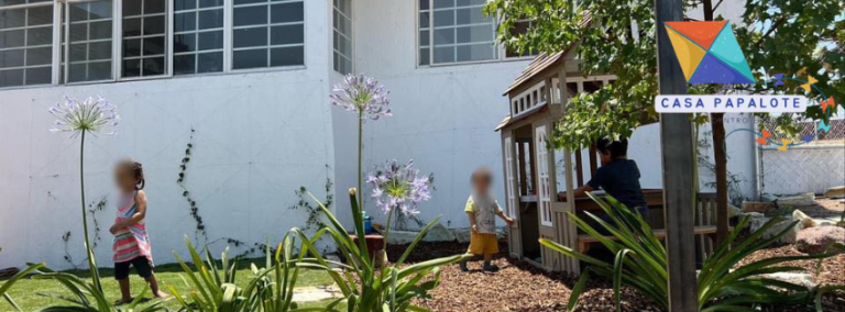 Papalote 4 1 768x284